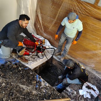 Yellow Bee Plumbing - Plumbing Near Me Yellow Bee Plumbing - Plumbing Near Me