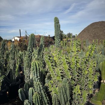 Waterwise Botanicals - Nurseries & Gardening Near Me - Bonsall, California