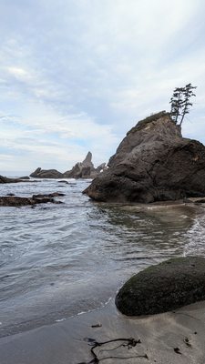 Shi Shi Beach by null