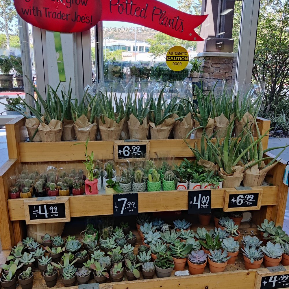Trader Joe's - Live plants! - Grocery Near Me - San Diego, California Trader Joe's - Live plants! - Grocery Near Me - San Diego, California