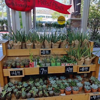 Trader Joe's - Live plants! - Grocery Near Me - San Diego, California Trader Joe's - Live plants! - Grocery Near Me - San Diego, California