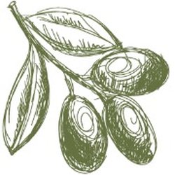 J Olive