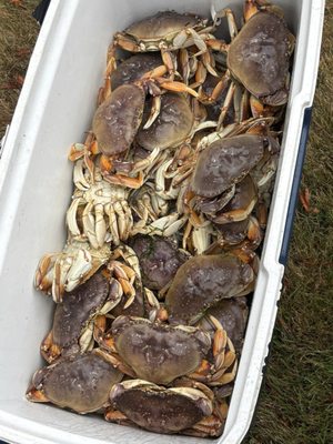 Shake N Burger Coos Bay by null