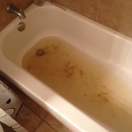 This is what our tub looks like each time we had a flood. Yes, that's urine and feces from our neighbor!