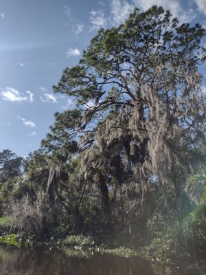 Canoe Outpost-Little Manatee River by null
