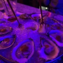 Epic Oyster - Oysters