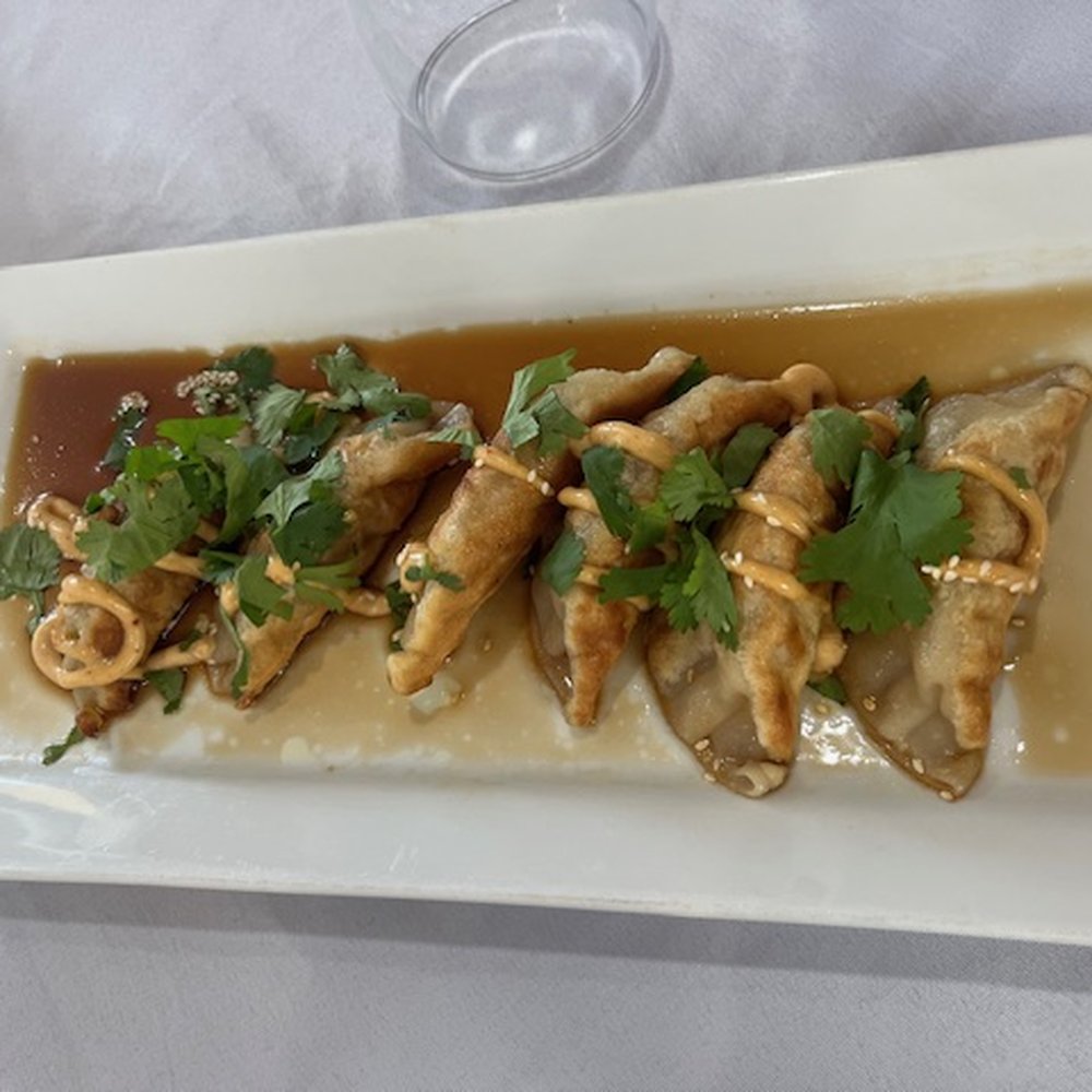 Time & Place - potstickers - Asian Fusion Near Me - Coon Rapids, Minnesota