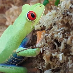 Exotic Fish & Pets