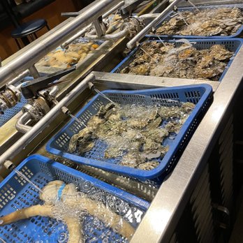 Taylor Shellfish Farms - Fresh geoduck and oysters - Seafood Near Me - Seattle, Washington Taylor Shellfish Farms - Fresh geoduck and oysters - Seafood Near Me - Seattle, Washington