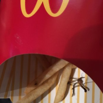 McDonald's - MCDONALS NOW SERVING FRIED INSECT IN THIER FRIES! - Fast Food Near Me - Canoga Park, California McDonald's - MCDONALS NOW SERVING FRIED INSECT IN THIER FRIES! - Fast Food Near Me - Canoga Park, California