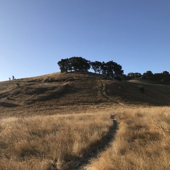 Briones Regional Park - Side trail up a hill - Parks Near Me - Martinez, California Briones Regional Park - Side trail up a hill - Parks Near Me - Martinez, California