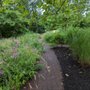 Photo of Chase Brook Park