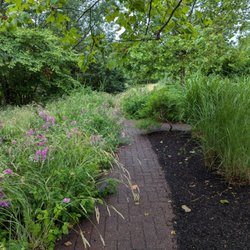 Chase Brook Park - Needs to be cut short.