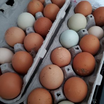 Kearns Quality Meats - Fresh eggs! - Farmers Market Near Me - Huntley, Illinois