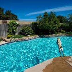 Flannery's Pool Service