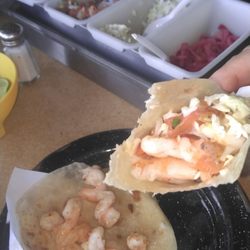 Taco Factory - Best "build your own" shrimp &  fish tacos in San Felipe!