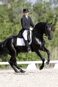 Alpine Farms - equestrian in Long Lake, MN