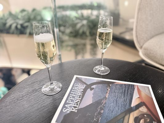 Chase Sapphire Lounge by The Club New York City LGA by null