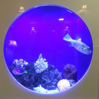 Phil Trani's Restaurant - The old school aquarium in the lobby of the restaurant. - Music Venues Near Me - Long Beach, California Phil Trani's Restaurant - The old school aquarium in the lobby of the restaurant. - Music Venues Near Me - Long Beach, California