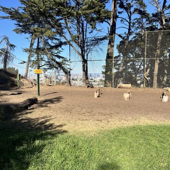 Upper Douglass Dog Park - Dog Parks Near Me - San Francisco, California Upper Douglass Dog Park - Dog Parks Near Me - San Francisco, California