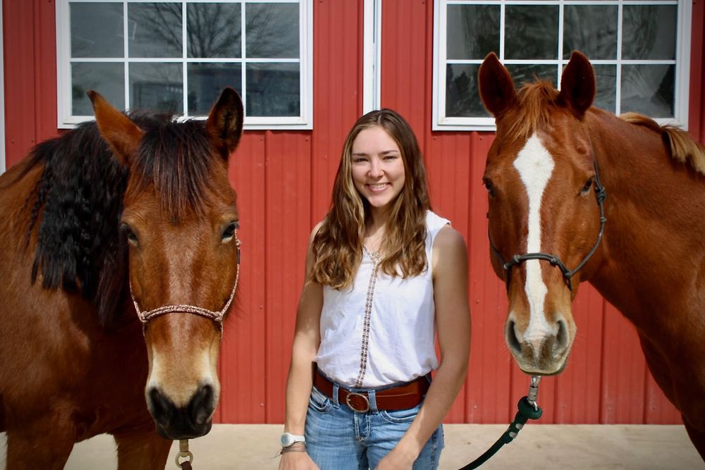 Elevated Bodywork - equestrian in Tulsa, OK