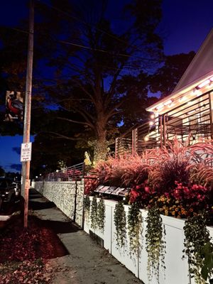 Chives Door County by null