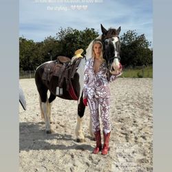 Orchid Stables Riding Club - Orchid Stables Riding Club