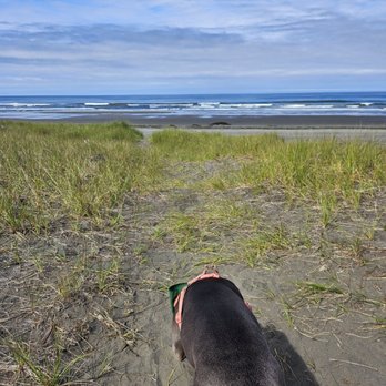 Twin Harbors State Park - Heading to the beach! - Campgrounds Near Me - Westport, Washington Twin Harbors State Park - Heading to the beach! - Campgrounds Near Me - Westport, Washington