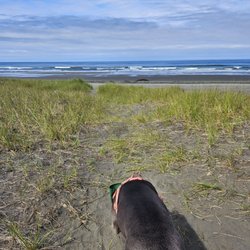 Twin Harbors State Park - Heading to the beach!