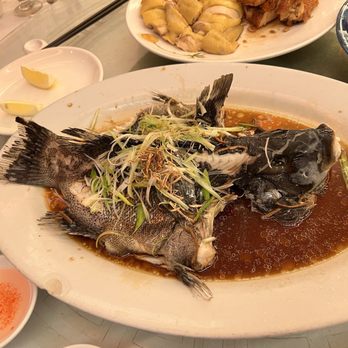 Ping's Seafood - Steamed Black Sea Bass - Seafood Near Me - New York, New York Ping's Seafood - Steamed Black Sea Bass - Seafood Near Me - New York, New York