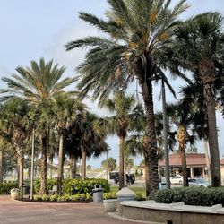 City of Clearwater