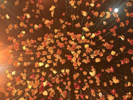 The Fowler Museum at UCLA by null