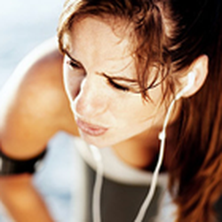 Body Dynamics Fitness Equipment