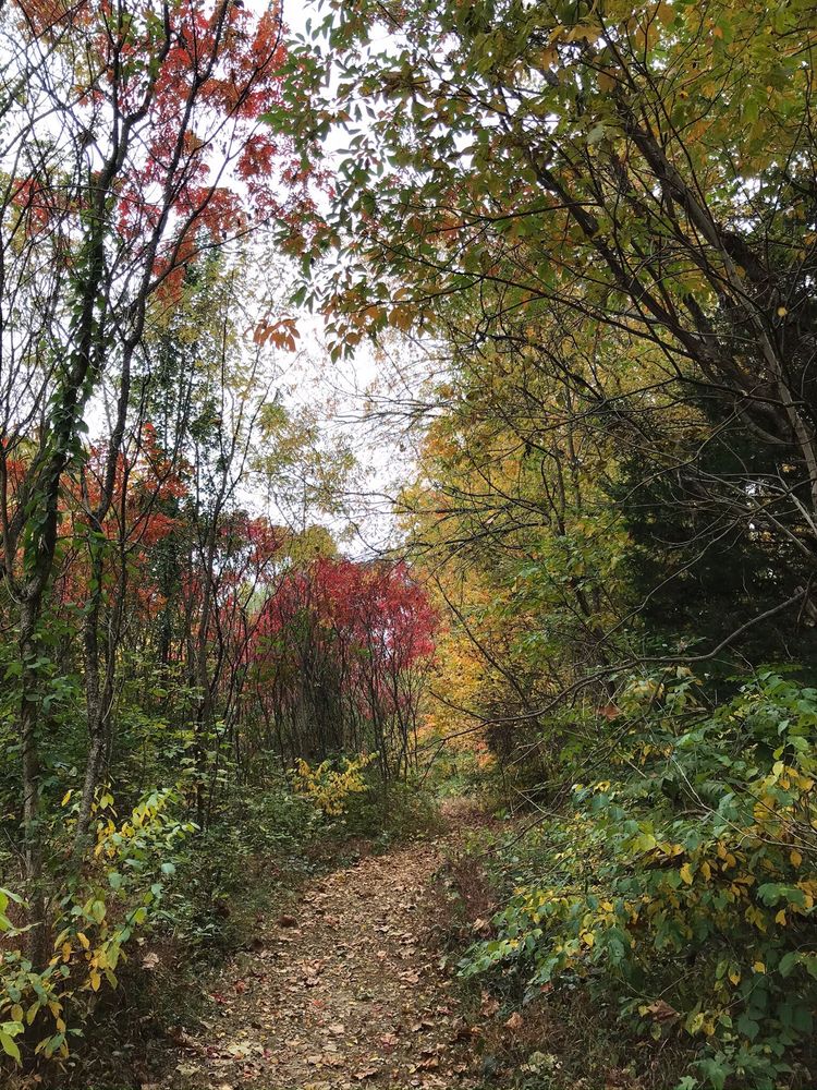 SHERWOOD OAKS PARK 14 Photos 1600 E Elliston Dr, Bloomington