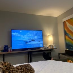 Room Room