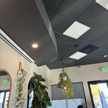 Lele Cake - Coffee & Tea Near Me - Los Gatos, California Lele Cake - Coffee & Tea Near Me - Los Gatos, California
