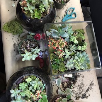 Workshop - Art Classes Near Me - San Francisco, California Workshop - Art Classes Near Me - San Francisco, California