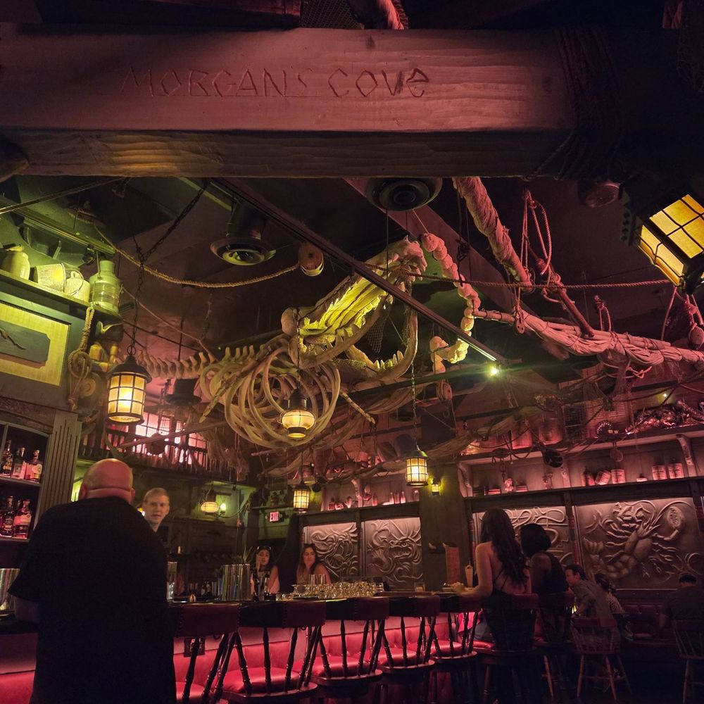 Morgan’s Cove - Tiki Bars Near Me - Tampa, Florida Morgan’s Cove - Tiki Bars Near Me - Tampa, Florida