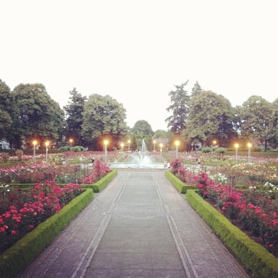 Peninsula Park Rose Garden by null