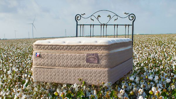 Cantwell Mattress Company