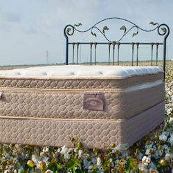 Cantwell Mattress Company