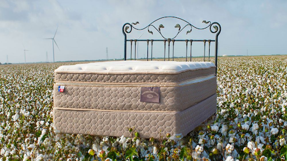 Cantwell Mattress Company