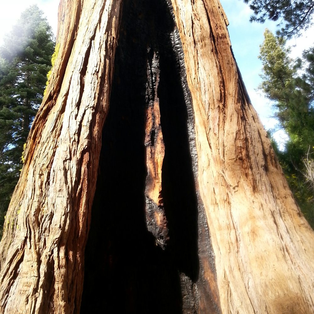 Lover's Leap Campground - Hiking Near Me - Twin Bridges, California Lover's Leap Campground - Hiking Near Me - Twin Bridges, California