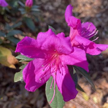 Sholom Park - Florida fantastic - Parks Near Me - Ocala, Florida
