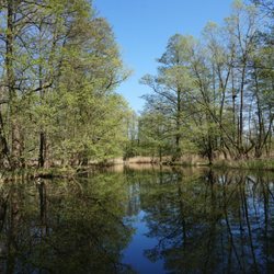 Kleiner Hafen am Mühlenwehr - beautiful Spree Woods on a perfect Easter Sunday :o)) ... best place to enjoy yourself