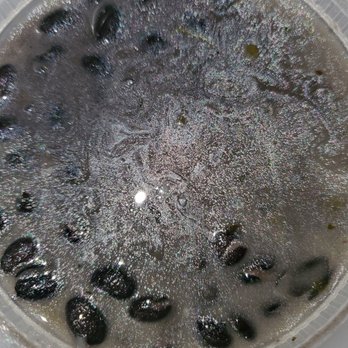 Cha Cha Cha Cuban Cafe - Black beans - Cuban Near Me - Kenilworth, New Jersey