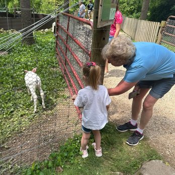 Shalom Wildlife Sanctuary - Feeding a baby albino deer - Parks Near Me - West Bend, Wisconsin