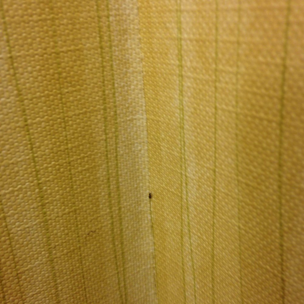 Holiday Inn Express & Suites Eagle Pass - another bug on bathroom wall - Hotels Near Me - Eagle Pass, Texas Holiday Inn Express & Suites Eagle Pass - another bug on bathroom wall - Hotels Near Me - Eagle Pass, Texas