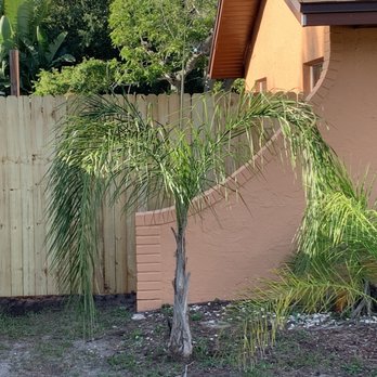 Clarity Fence - Blind wall - Fences & Gates Near Me - Palmetto, Florida Clarity Fence - Blind wall - Fences & Gates Near Me - Palmetto, Florida