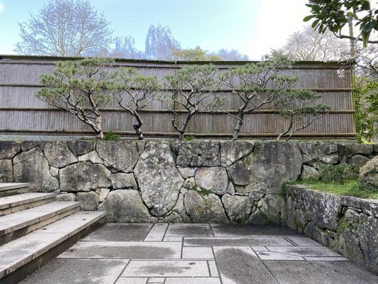 Kyoto Garden by null